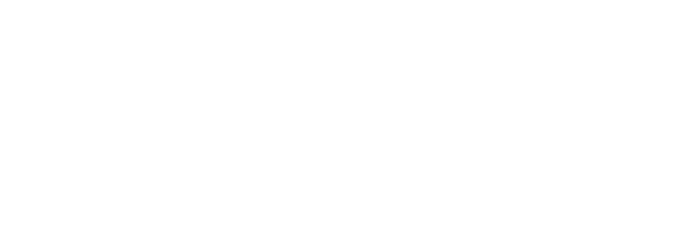 TARANTIN 2026-02 (3)