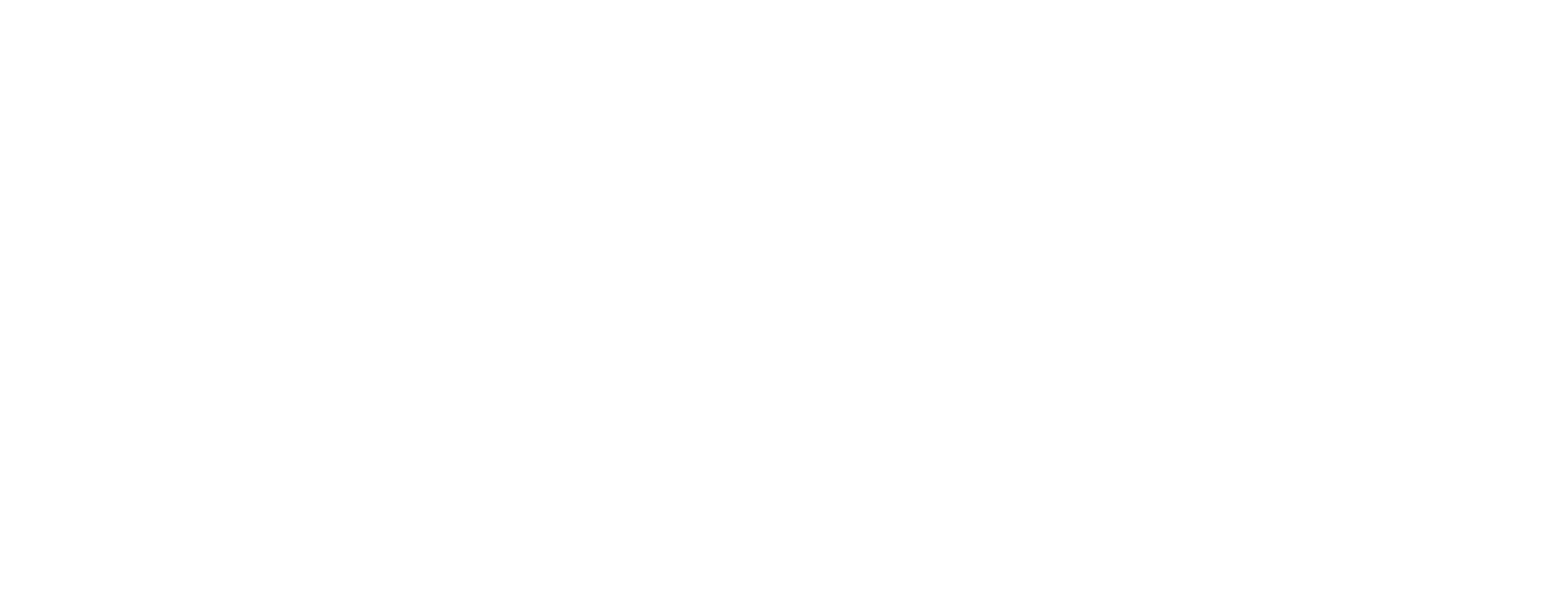 26_TODO CHEESECAKE_THE CHAMPIONS CHEESECAKE_LOGO